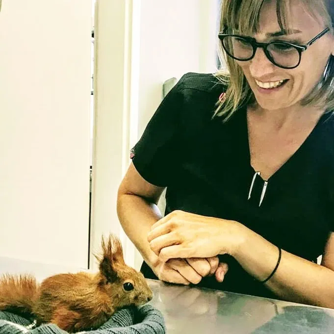 Pracownia diagnostyczna